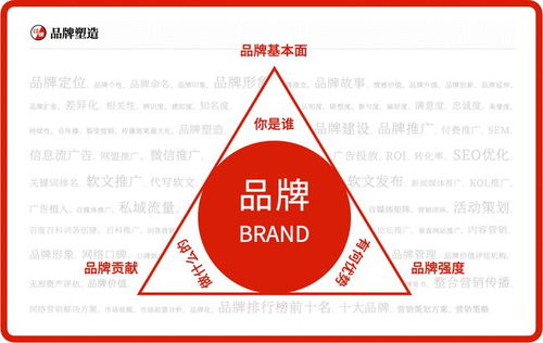 茶葉品牌營(yíng)銷策劃方案與推廣策略 全方位咨詢服務(wù)指南